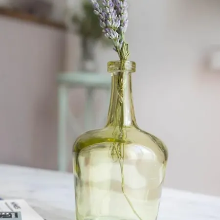 Le Petit Provencal Apartment *